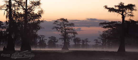 Caddo Lake, Texas