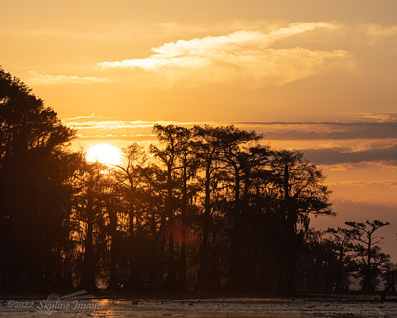 Caddo Lake, Texas