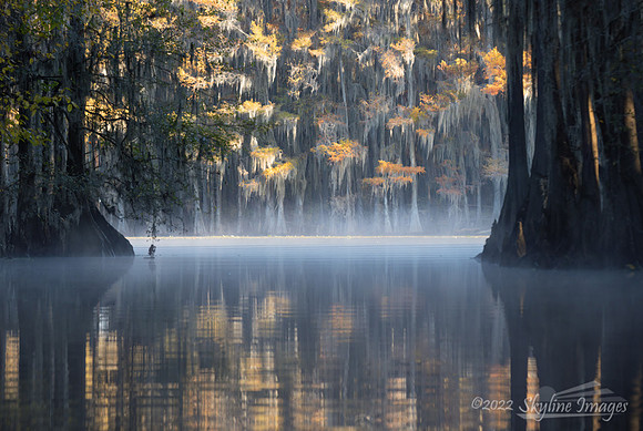 Caddo Lake, Texas