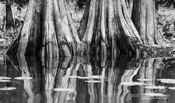 Caddo Lake, Texas
