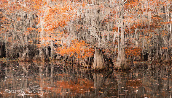 Caddo Lake, Texas