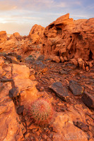 Gold Butte National Monument NV