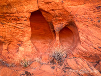 Gold Butte National Monument NV