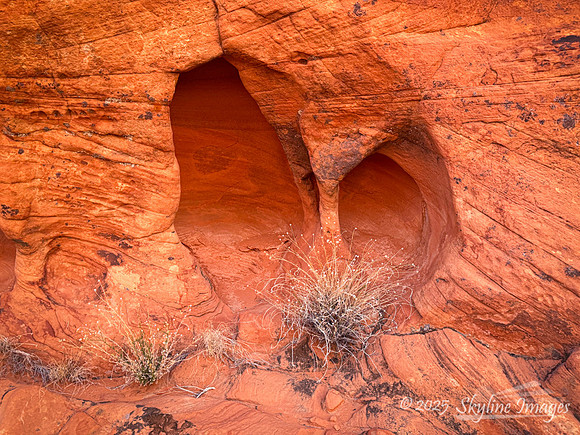 Gold Butte National Monument NV