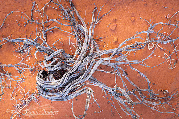 Gold Butte National Monument NV