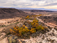 Grand Canyon - Parashant National Monument AZ