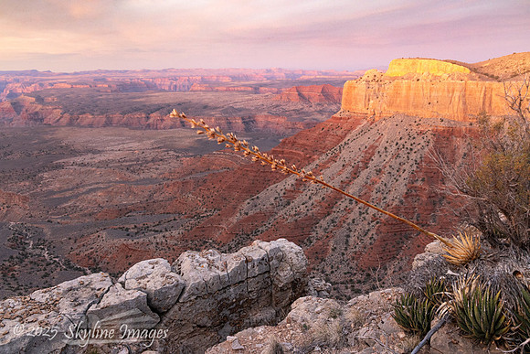 Grand Canyon - Parashant National Monument AZ