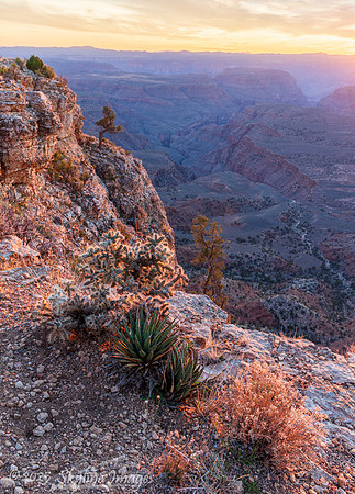 Grand Canyon - Parashant National Monument AZ