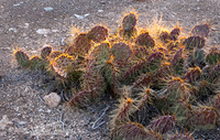 Grand Canyon - Parashant National Monument AZ