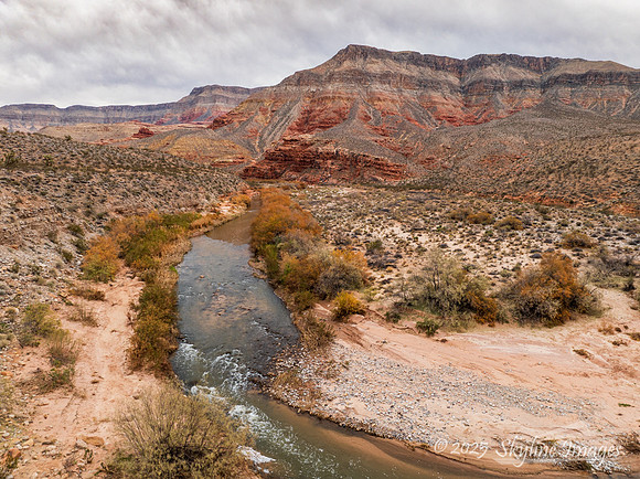 Virgin River AZ
