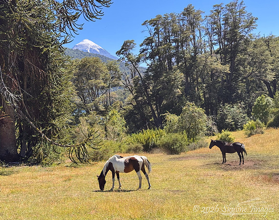 Patagonia, Argentina