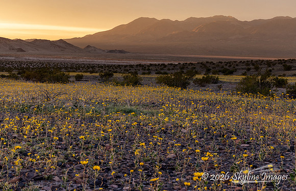 Mojave Desert, California