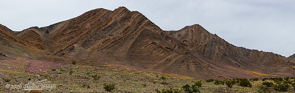 Mojave Desert, California