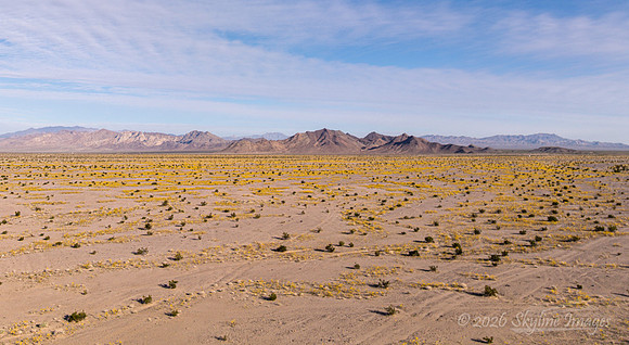 Mojave Desert, California