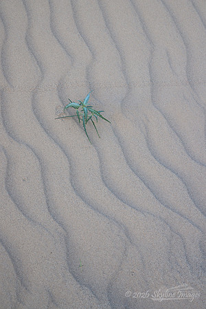 Mojave Desert, California