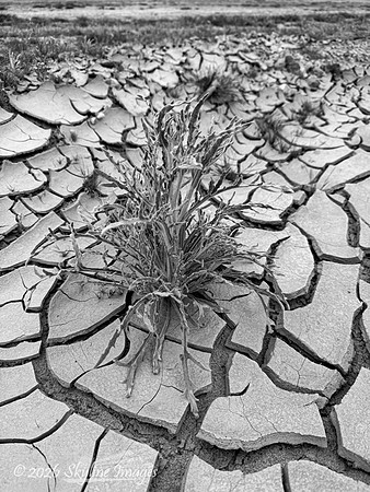 Mojave Desert, California