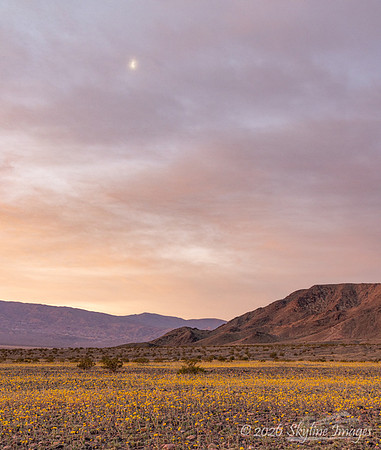Mojave Desert, California