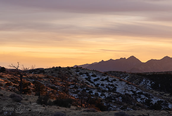 Mojave Desert California