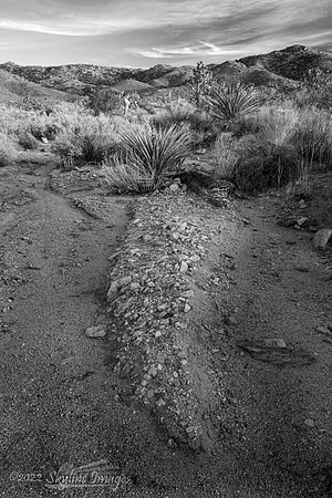 Mojave Desert California