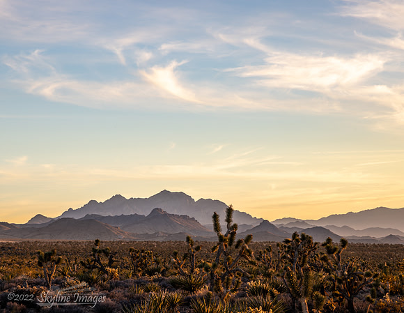 Mojave Desert California