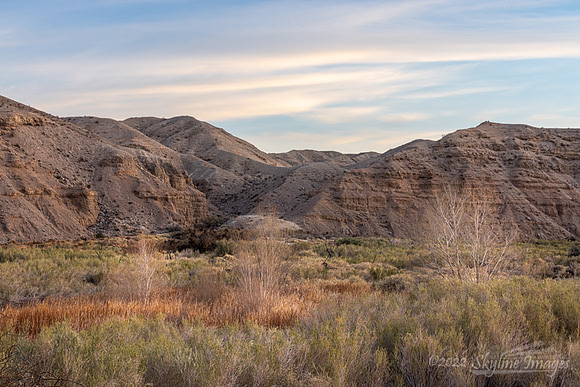 Mojave Desert California