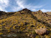 Highway 89 on Yarnell Hill, Arizona