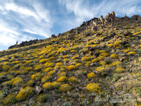 Highway 89 on Yarnell Hill, Arizona