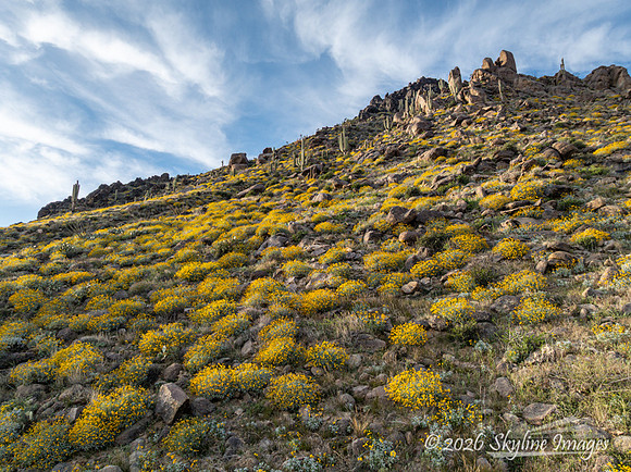 Highway 89 on Yarnell Hill, Arizona