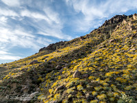 Highway 89 on Yarnell Hill, Arizona