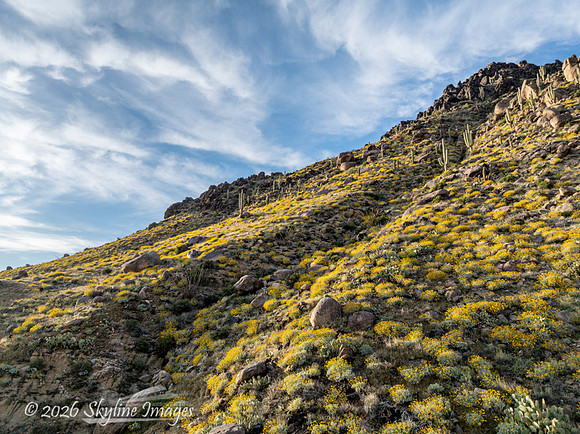 Highway 89 on Yarnell Hill, Arizona