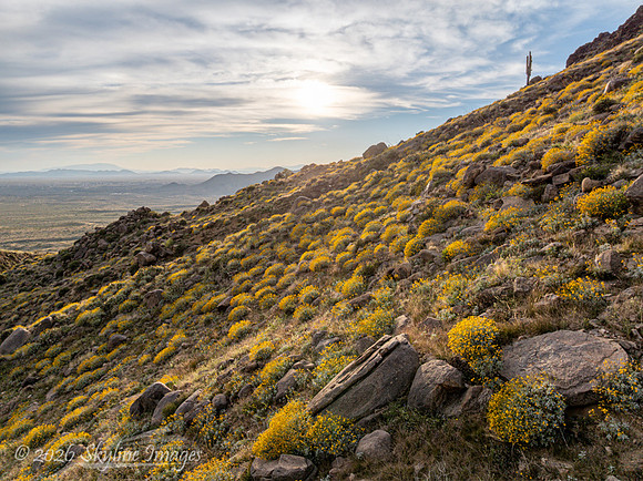 Highway 89 on Yarnell Hill, Arizona