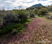 Highway 71 near Congress Arizona