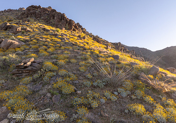 Highway 89 on Yarnell Hill, Arizona