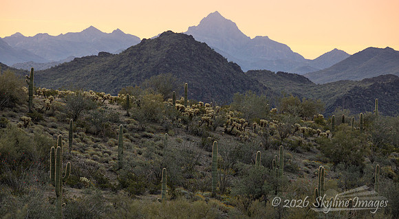 Harquahala Mountains, AZ