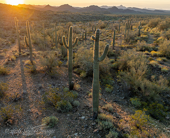 Harquahala Mountains, AZ