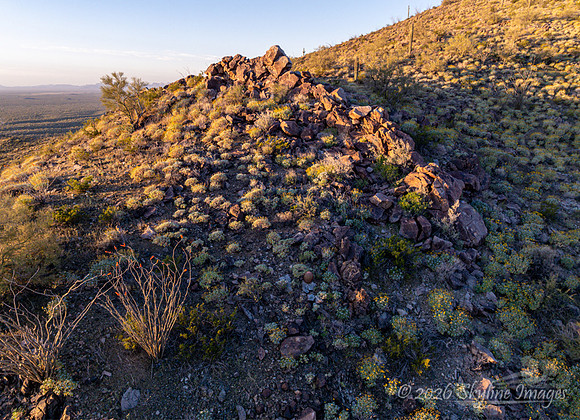 Harquahala Mountains, AZ