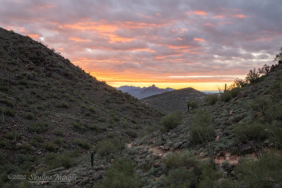 McDowell Sonoran Preserve Arizona