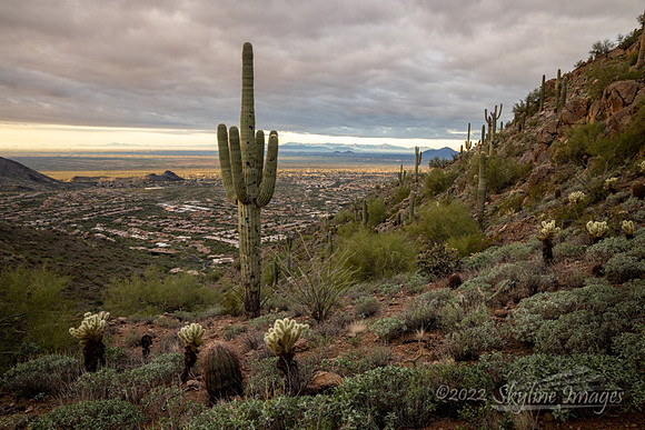 McDowell Sonoran Preserve Arizona