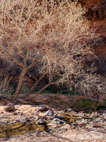 Hunter's Canyon Utah