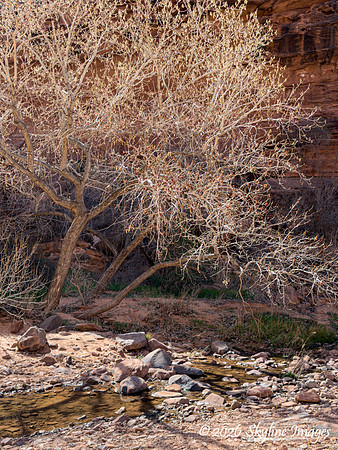 Hunter's Canyon Utah