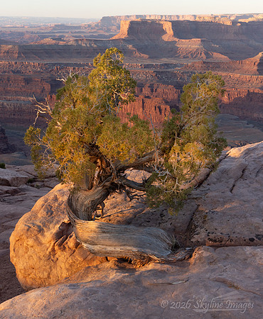 Dead Horse Point State Park Utah