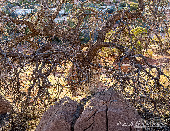 Dead Horse Point State Park Utah