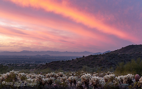McDowell Sonoran Preserve Arizona