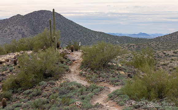 McDowell Sonoran Preserve Arizona
