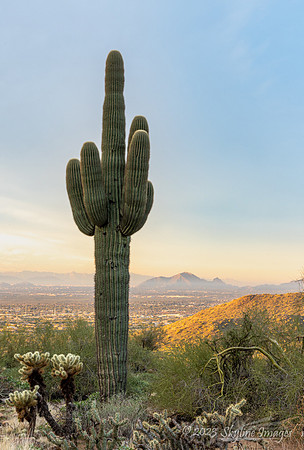 McDowell Sonoran Preserve Arizona