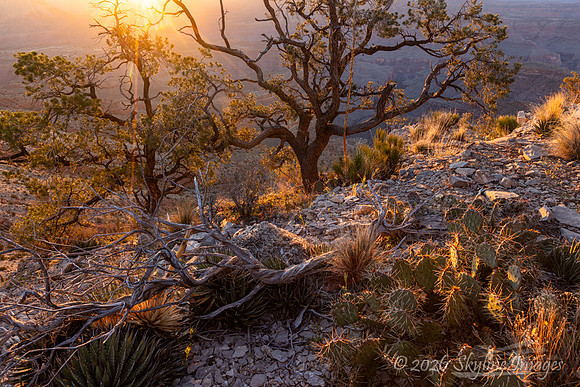 Grand Canyon Parashant National Monument