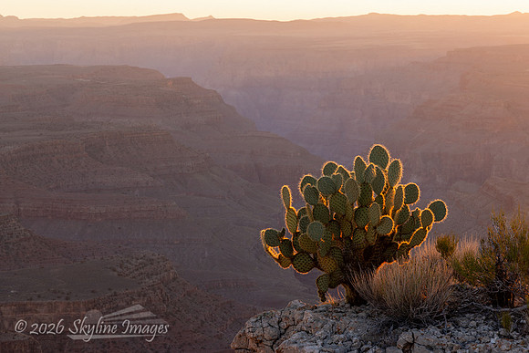 Grand Canyon Parashant National Monument