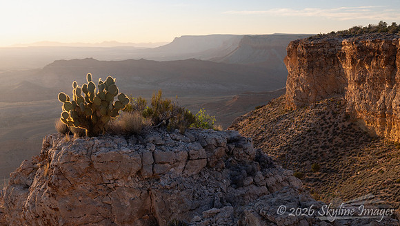 Grand Canyon Parashant National Monument