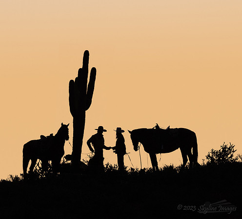 Gold Canyon Arizona