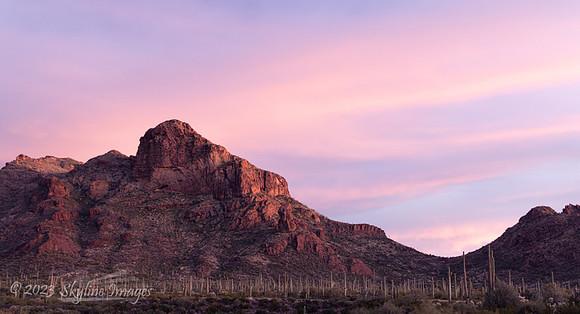 Organ Pipe Cactus National Monument, AZ